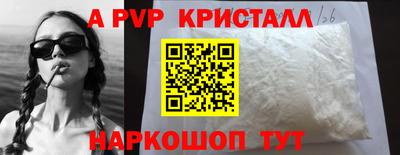 крисы Кингисепп