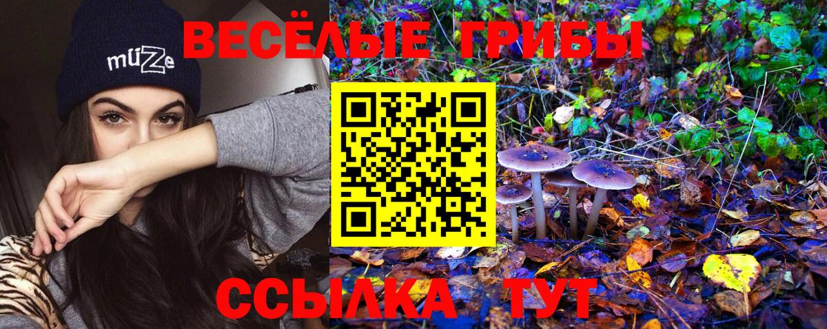 Галлюциногенные грибы GOLDEN TEACHER  Вход с VPN  Псилоцибиновые грибы Psilocybine cubensis  где продают наркотики  Котельники 
